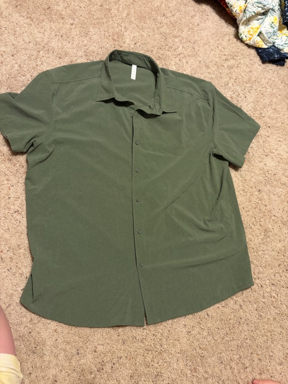 Sage green button up